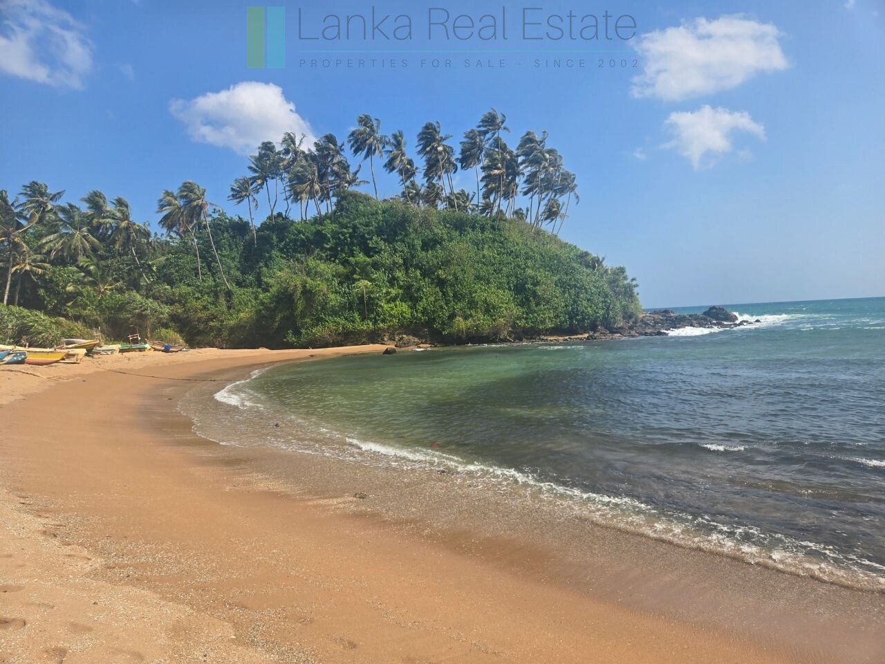 Ocean-facing palm-fringed land in Kottagoda