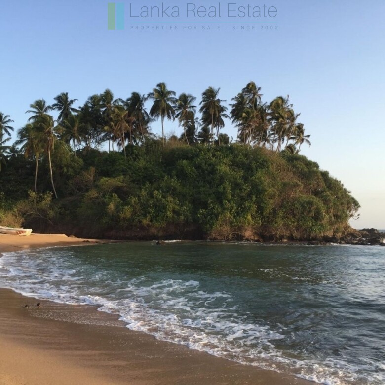Ocean-facing palm-fringed land in Kottagoda