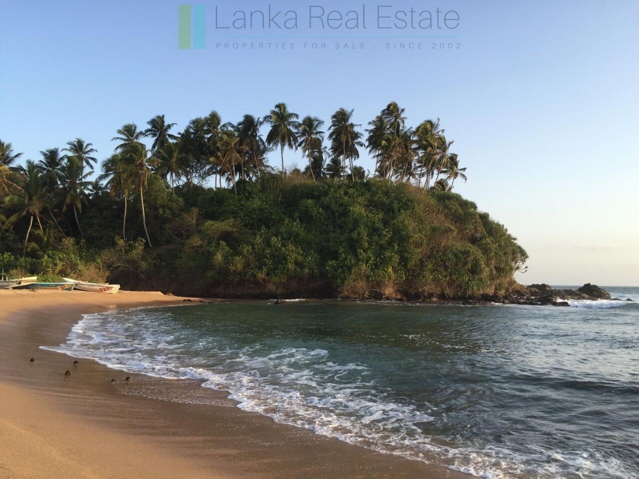 Ocean-facing palm-fringed land in Kottagoda