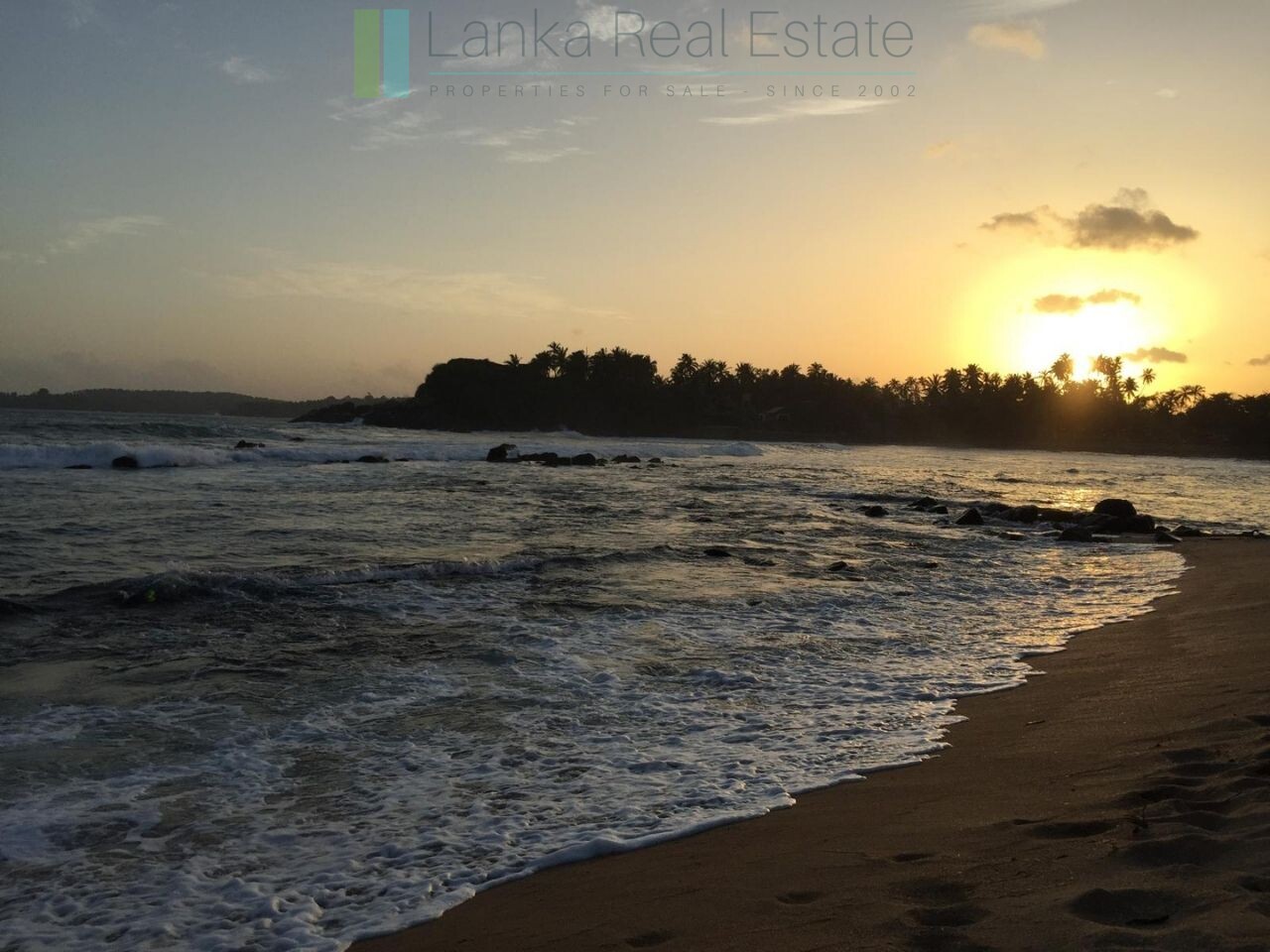 Ocean-facing palm-fringed land in Kottagoda