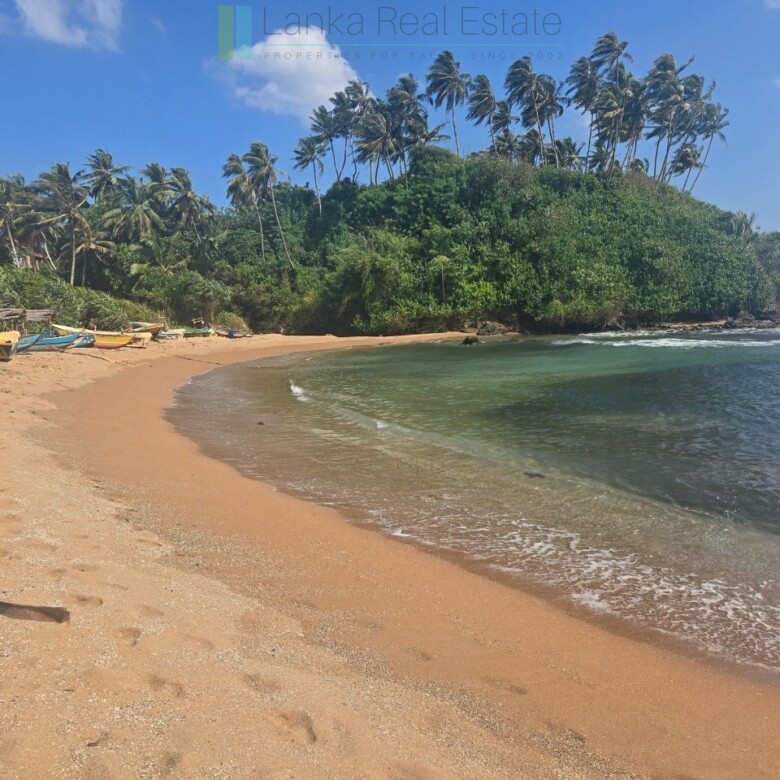 Ocean-facing palm-fringed land in Kottagoda