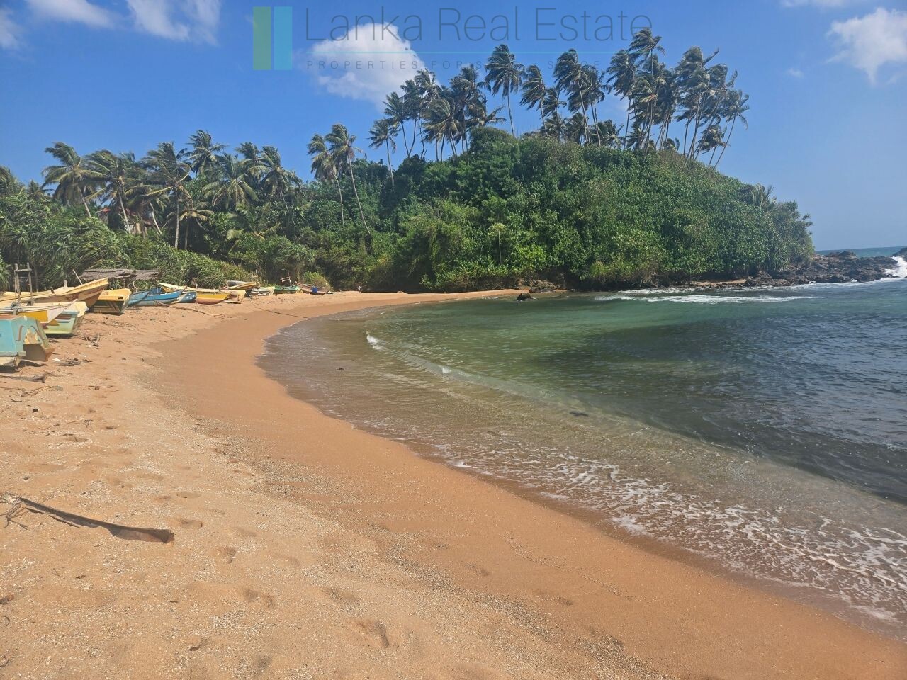 Ocean-facing palm-fringed land in Kottagoda