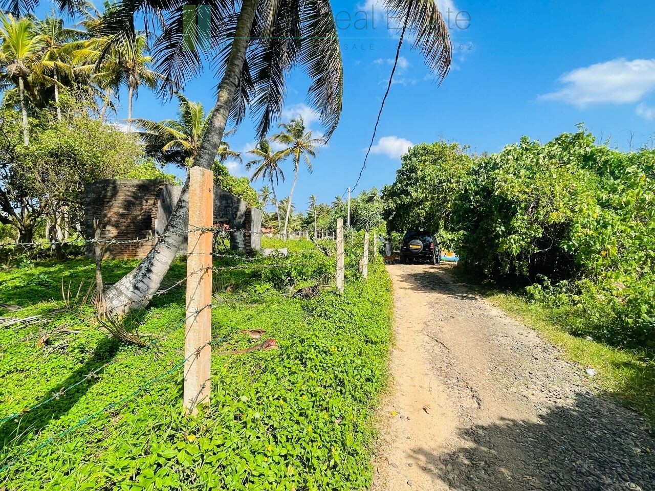 Ocean-facing palm-fringed land in Kottagoda