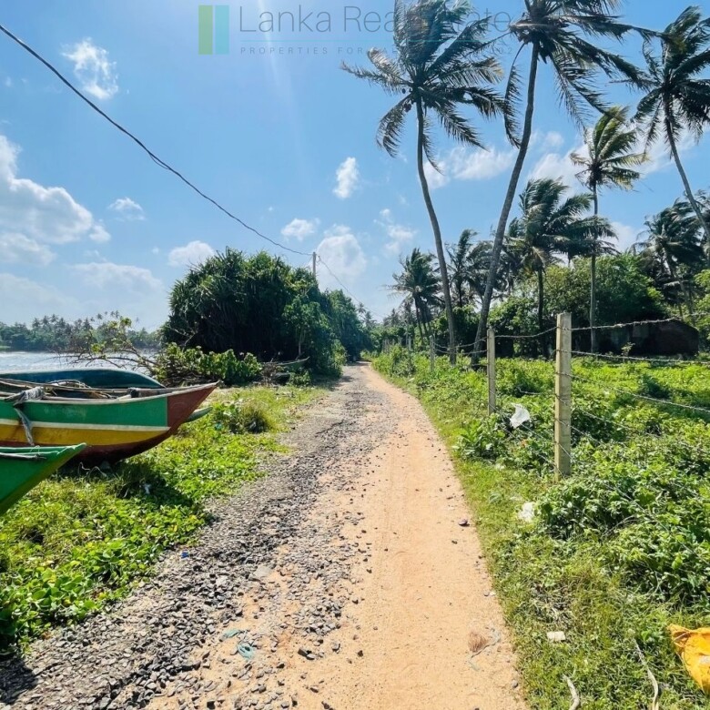 Ocean-facing palm-fringed land in Kottagoda