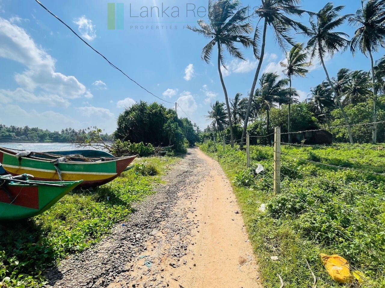 Ocean-facing palm-fringed land in Kottagoda