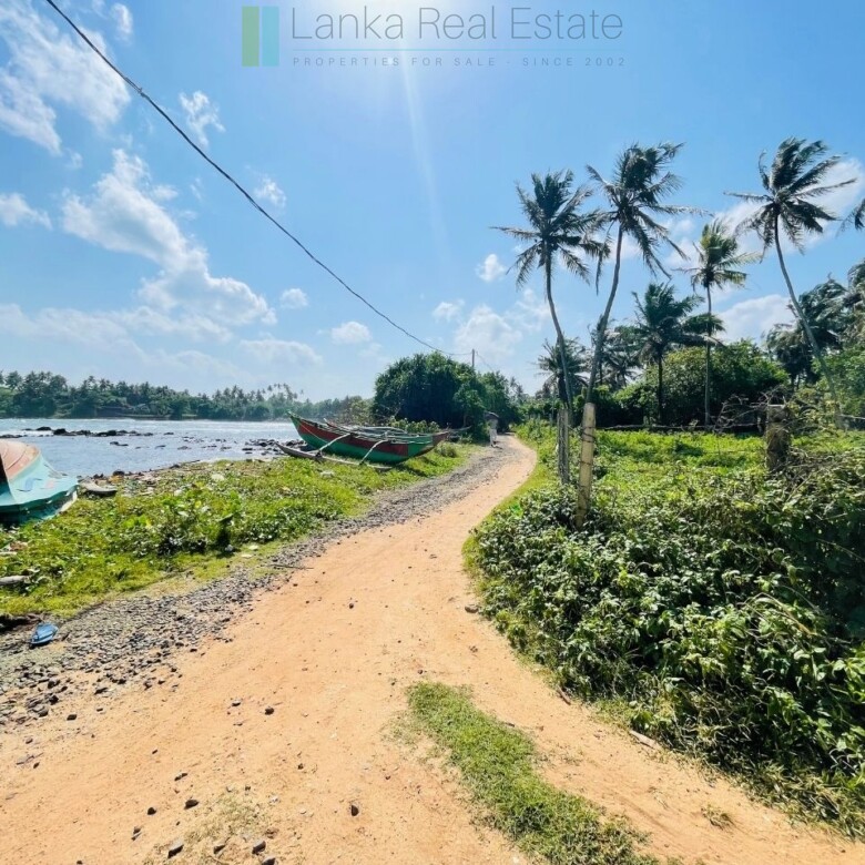 Ocean-facing palm-fringed land in Kottagoda