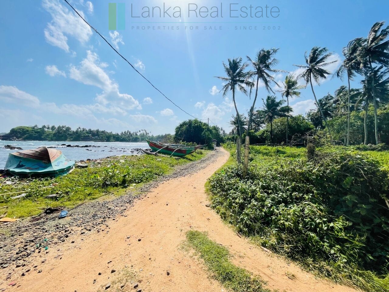 Ocean-facing palm-fringed land in Kottagoda