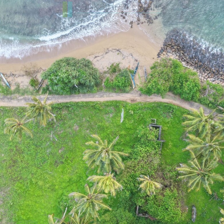 Ocean-facing palm-fringed land in Kottagoda
