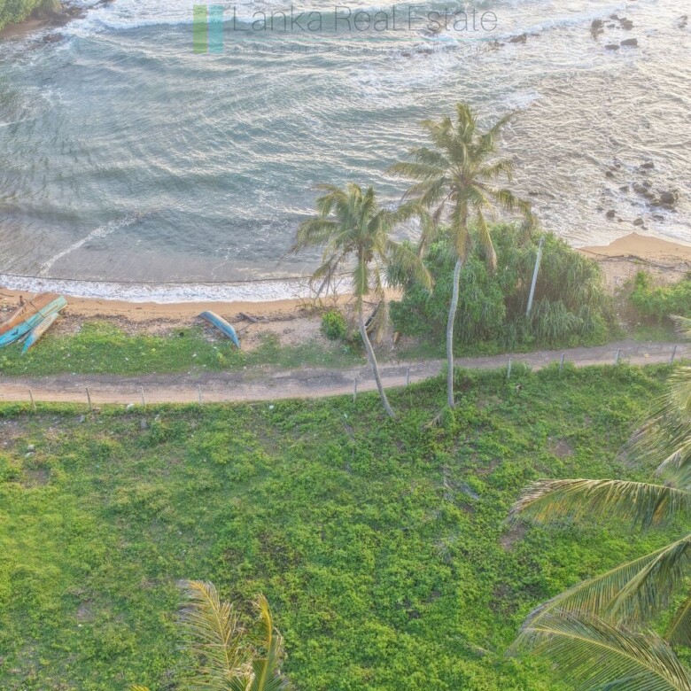 Ocean-facing palm-fringed land in Kottagoda