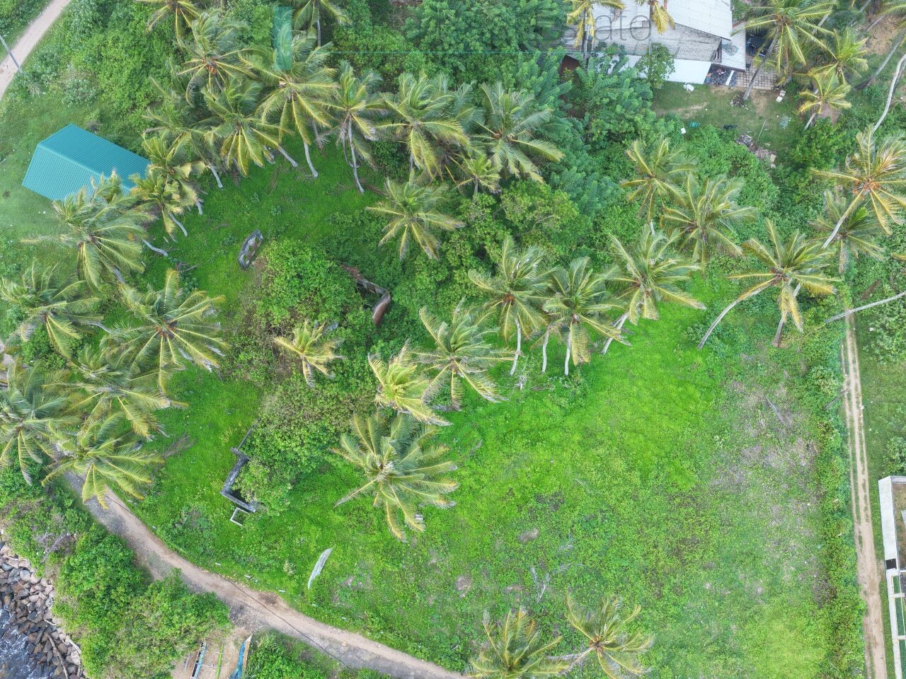 Ocean-facing palm-fringed land in Kottagoda