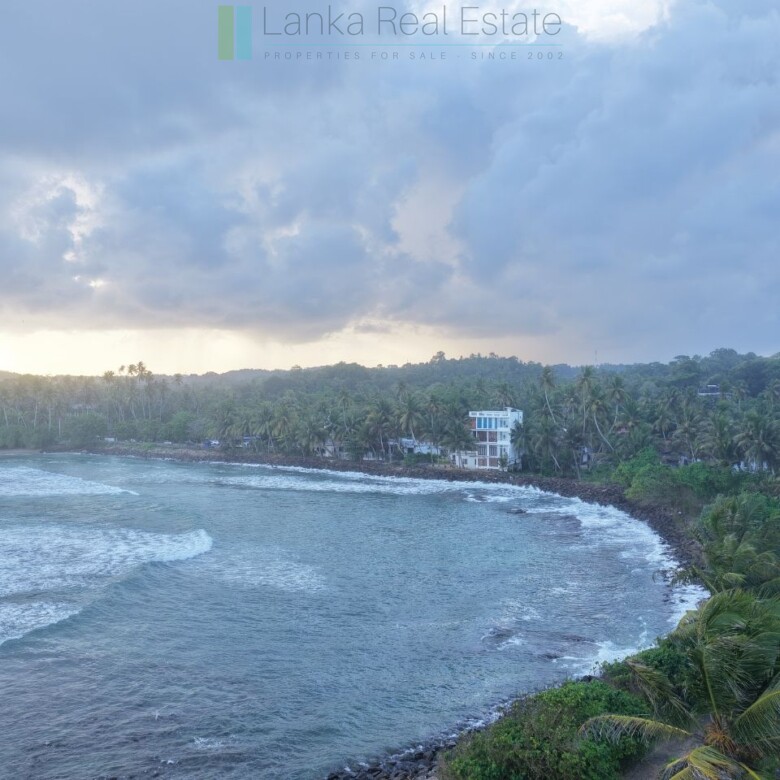 Ocean-facing palm-fringed land in Kottagoda