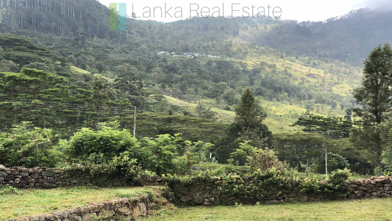 The Gardens of Haldummulla