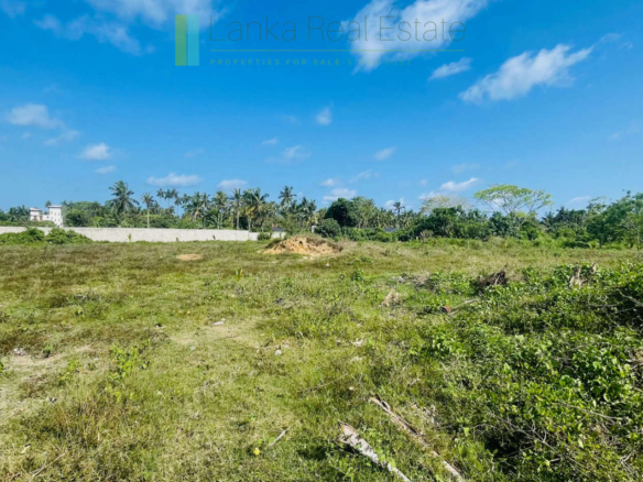 An acre near the beach in Ahangama