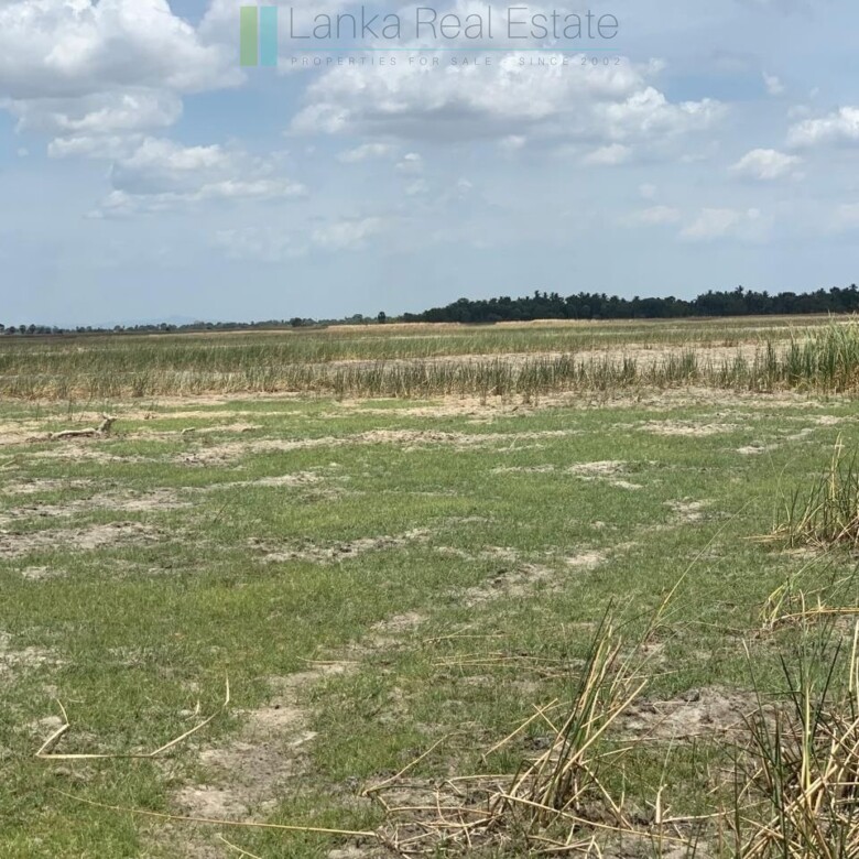 Two beachfront plots at Thandiyadi near Pottuvil