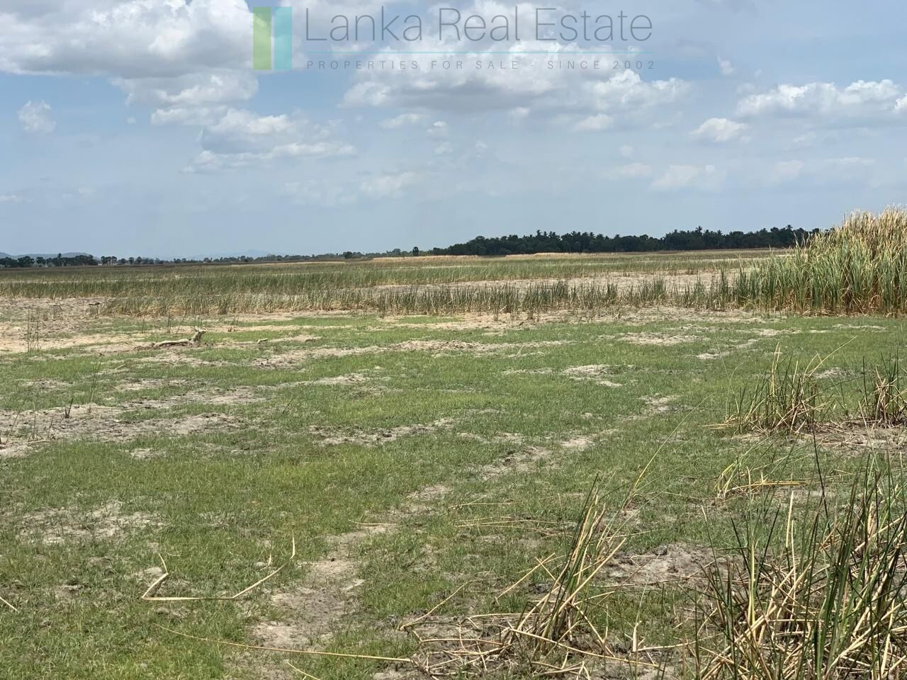 Two beachfront plots at Thandiyadi near Pottuvil