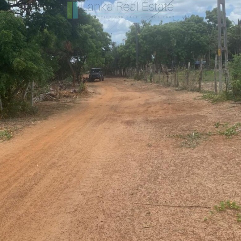 Two beachfront plots at Thandiyadi near Pottuvil