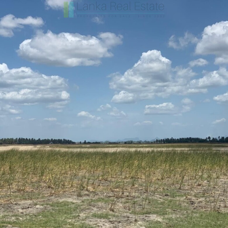 Two beachfront plots at Thandiyadi near Pottuvil