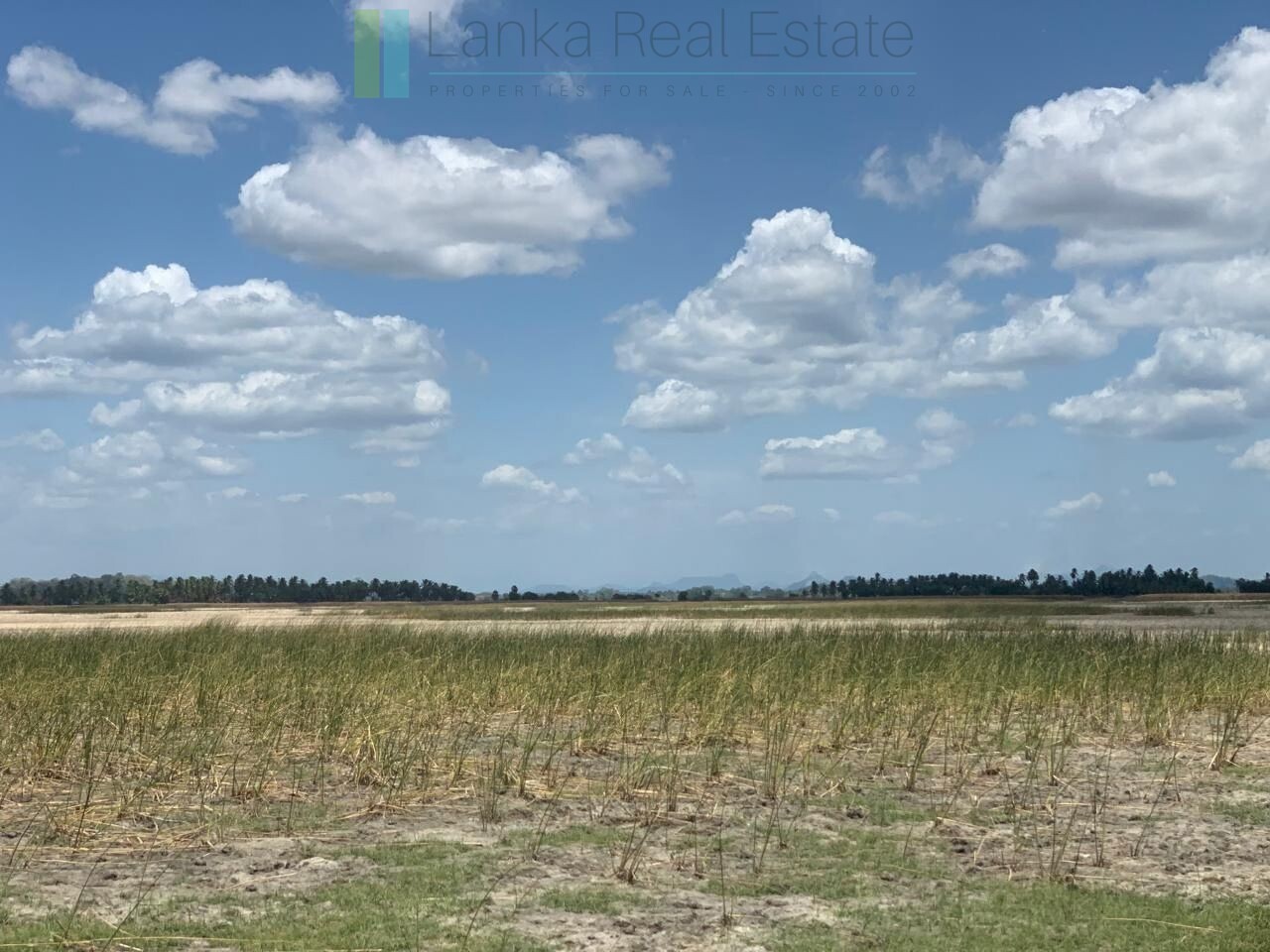 Two beachfront plots at Thandiyadi near Pottuvil