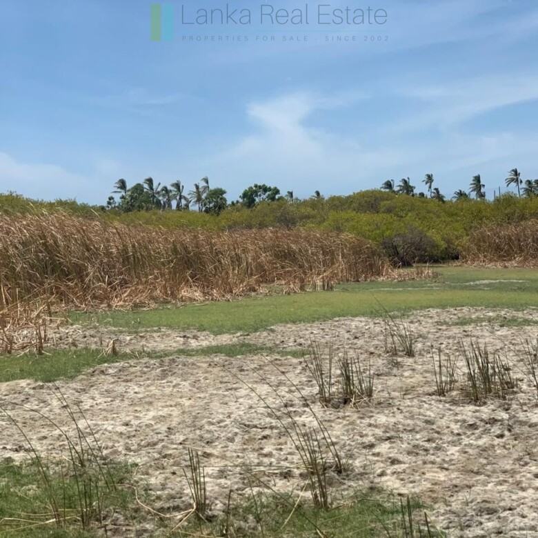 Two beachfront plots at Thandiyadi near Pottuvil