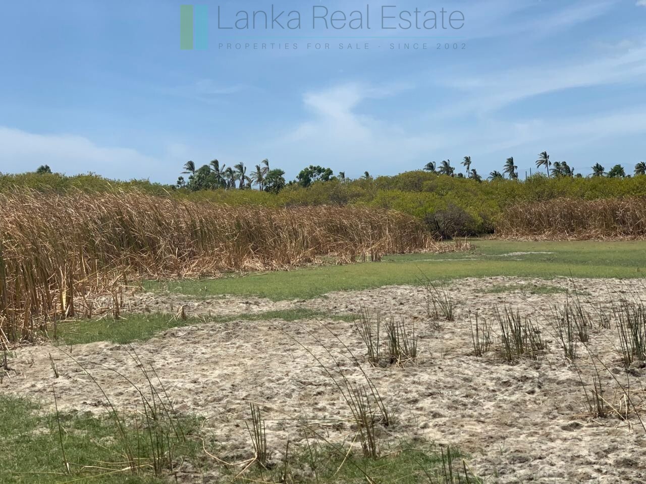 Two beachfront plots at Thandiyadi near Pottuvil