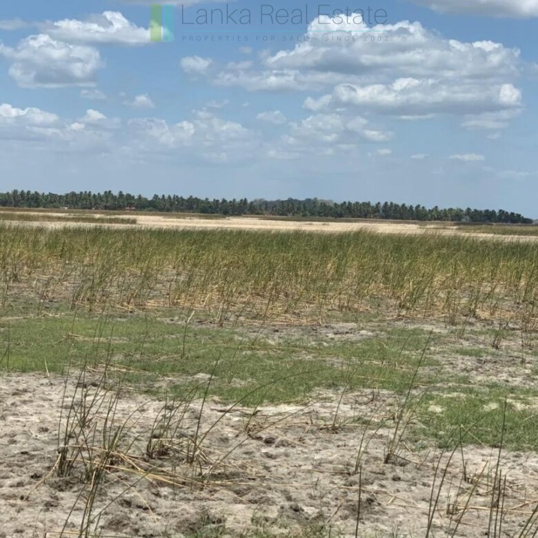 Two beachfront plots at Thandiyadi near Pottuvil