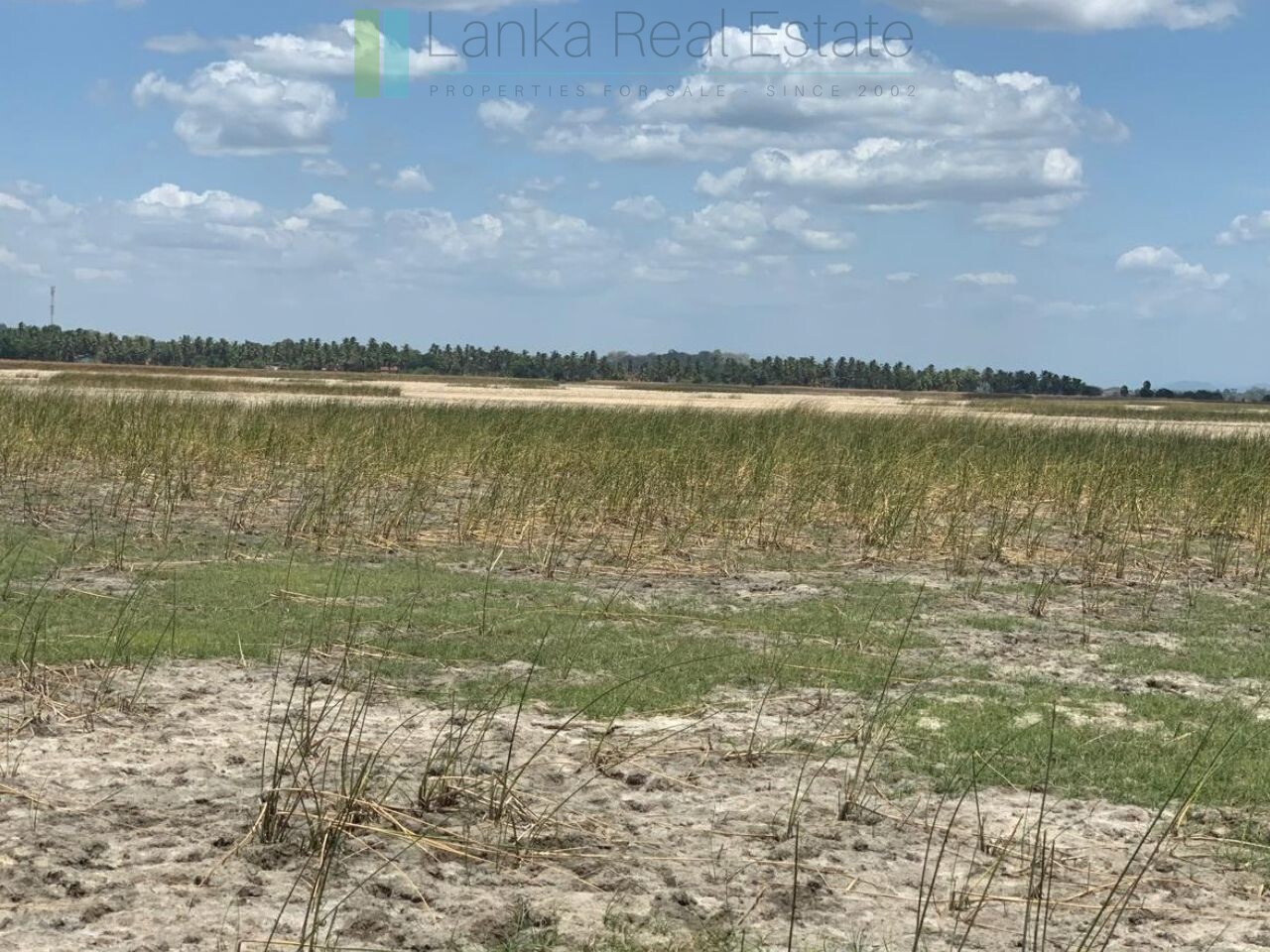 Two beachfront plots at Thandiyadi near Pottuvil