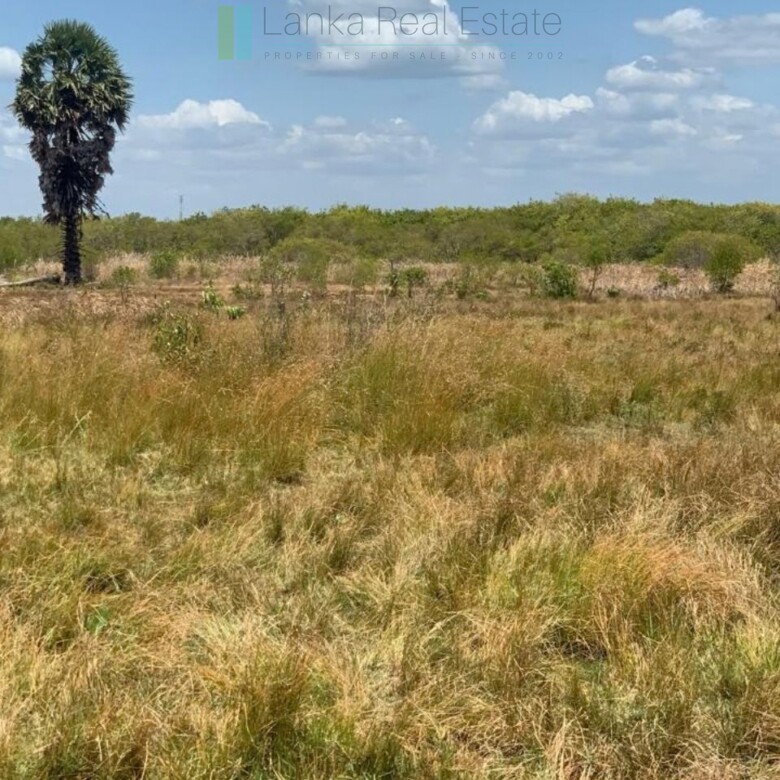 Two beachfront plots at Thandiyadi near Pottuvil