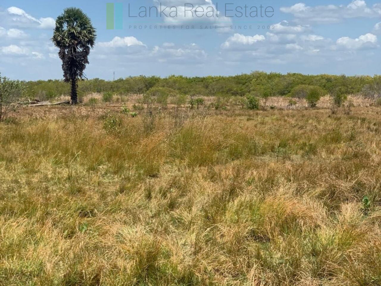 Two beachfront plots at Thandiyadi near Pottuvil