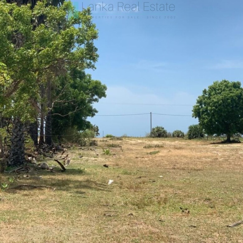 Two beachfront plots at Thandiyadi near Pottuvil