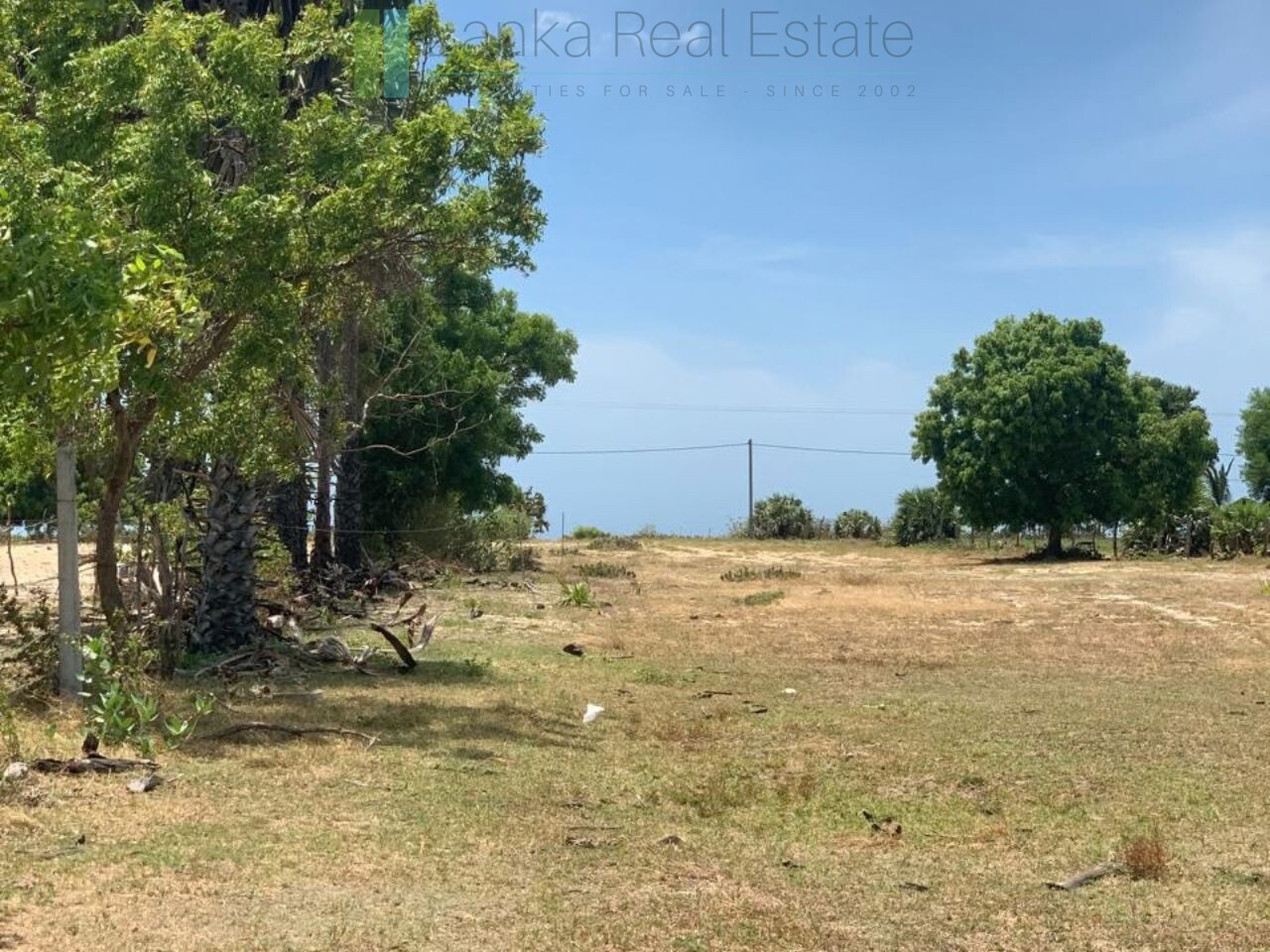 Two beachfront plots at Thandiyadi near Pottuvil