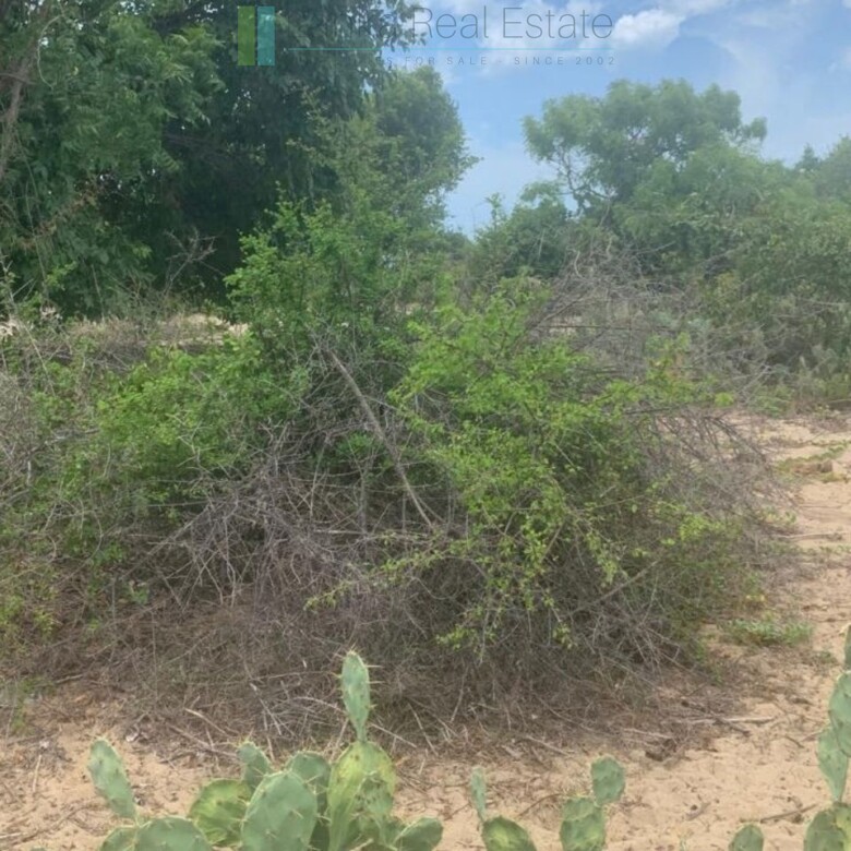 Two beachfront plots at Thandiyadi near Pottuvil