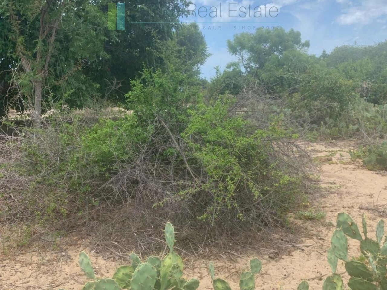 Two beachfront plots at Thandiyadi near Pottuvil