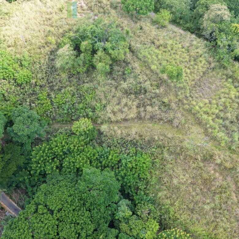 Three acres near Beragala with spectacular views