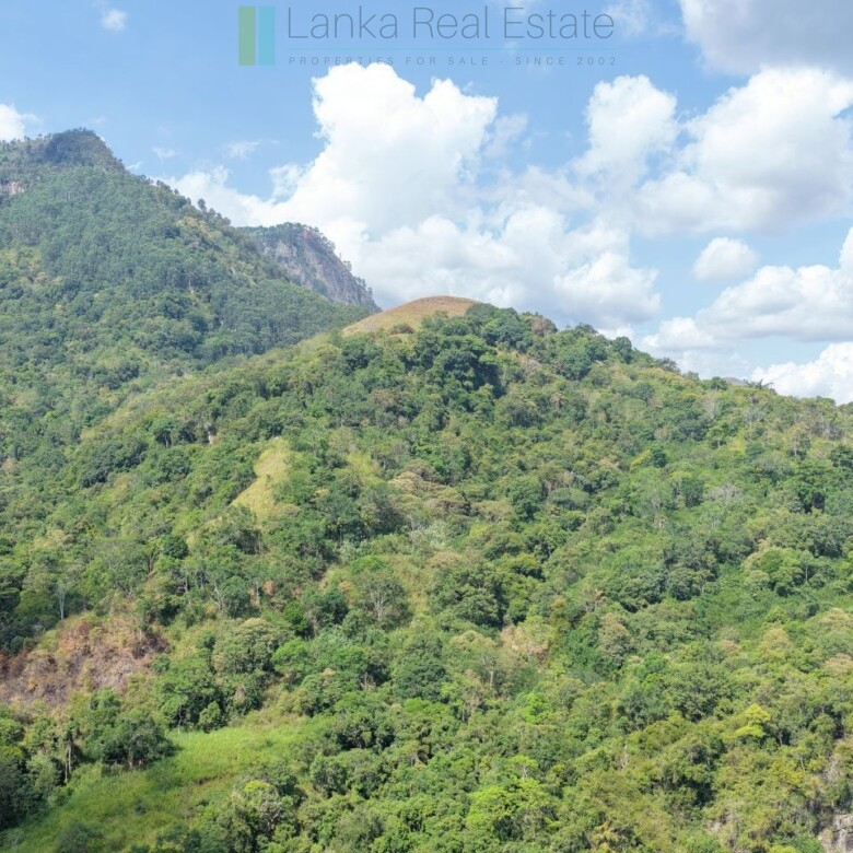 Three acres near Beragala with spectacular views
