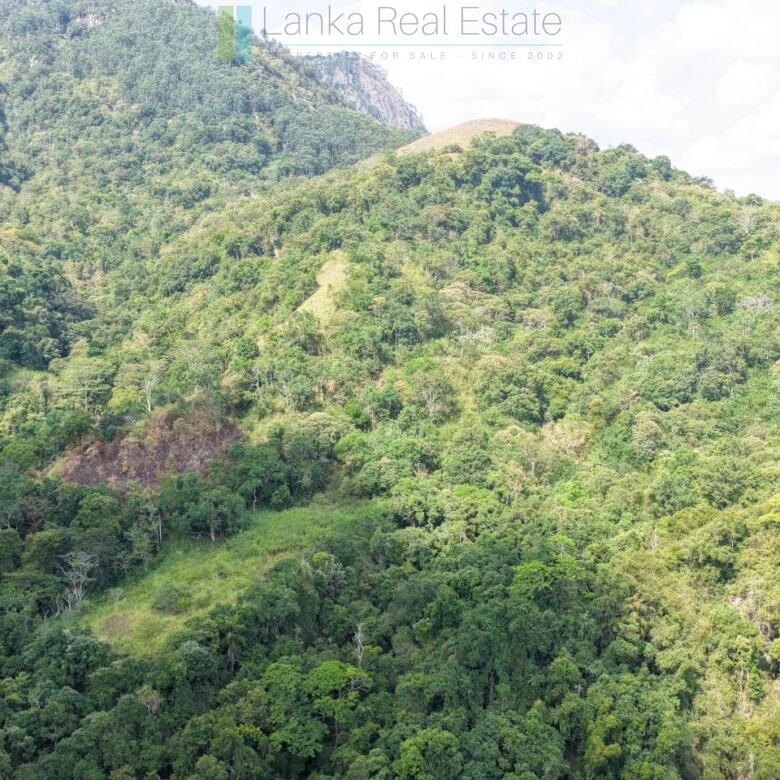 Three acres near Beragala with spectacular views