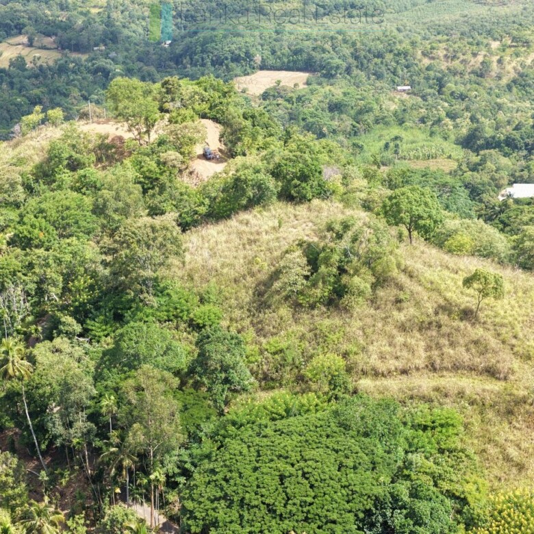 Three acres near Beragala with spectacular views