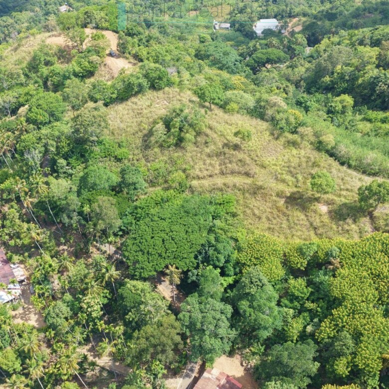 Three acres near Beragala with spectacular views