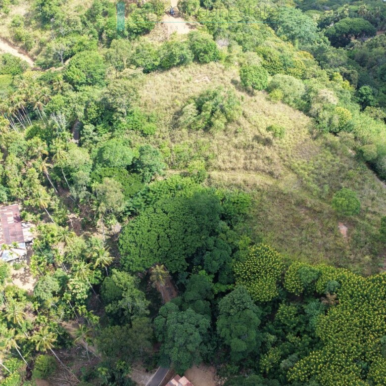 Three acres near Beragala with spectacular views
