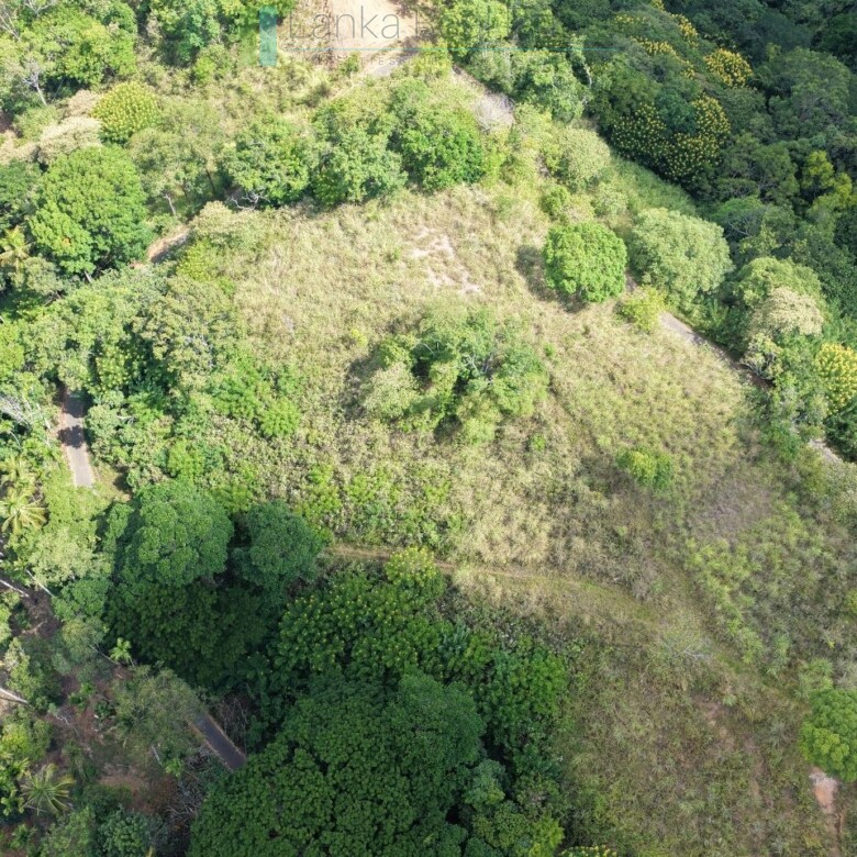 Three acres near Beragala with spectacular views