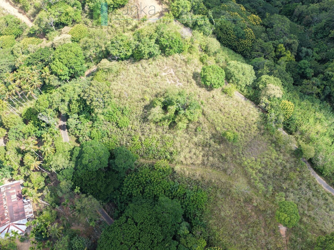 Three acres near Beragala with spectacular views