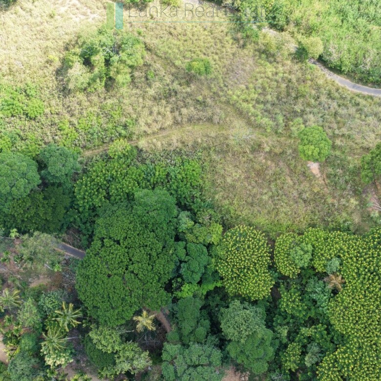 Three acres near Beragala with spectacular views