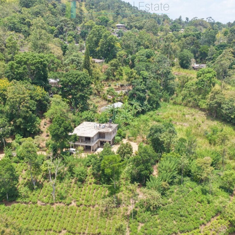 Ready-to-finish family home with small tea garden