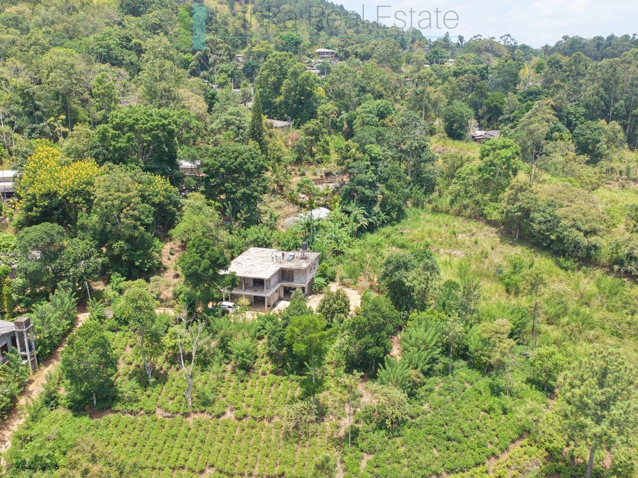 Ready-to-finish family home with small tea garden