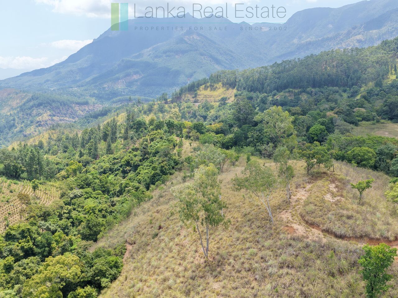 Ready-to-finish family home with small tea garden