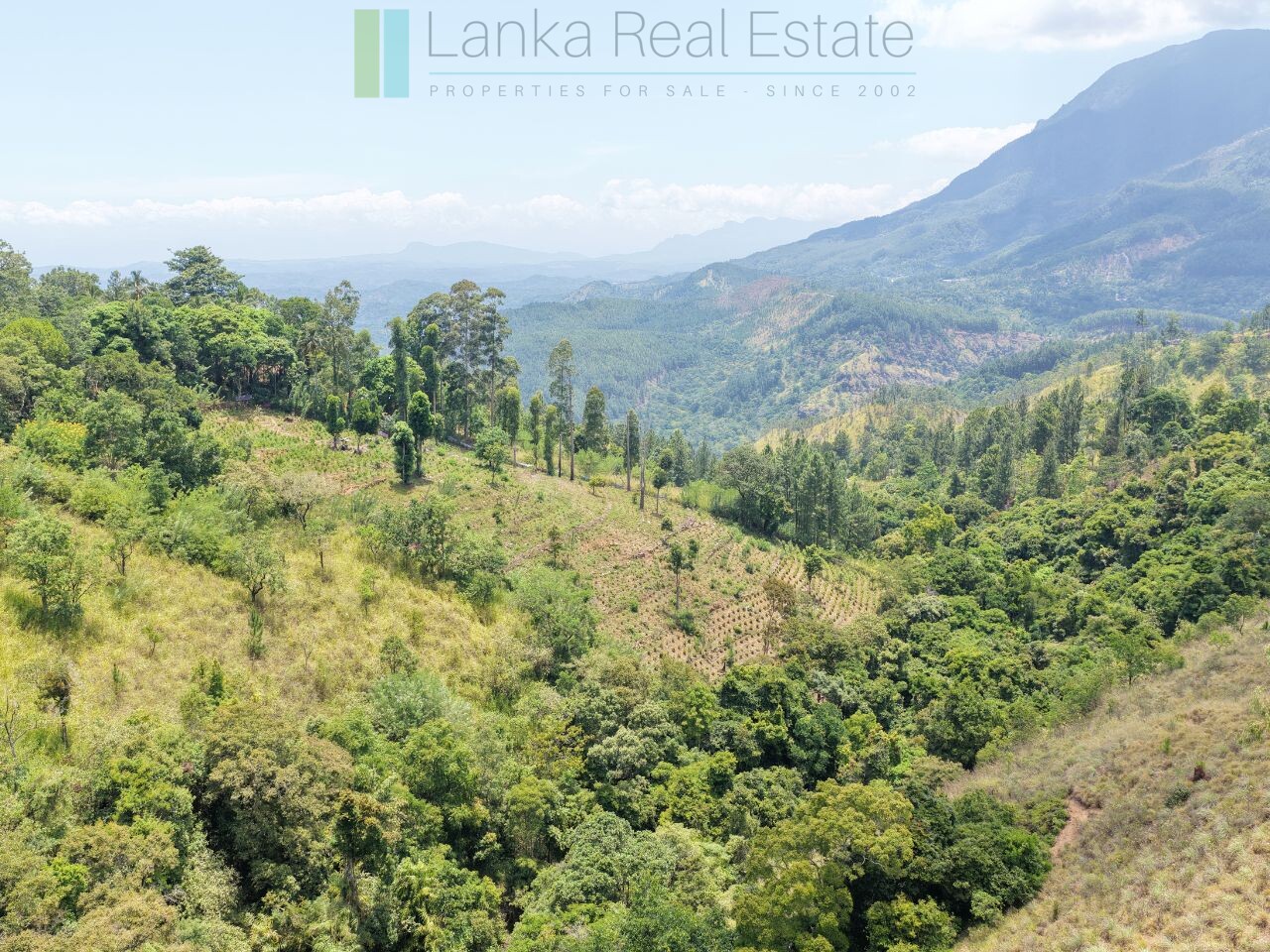 Ready-to-finish family home with small tea garden