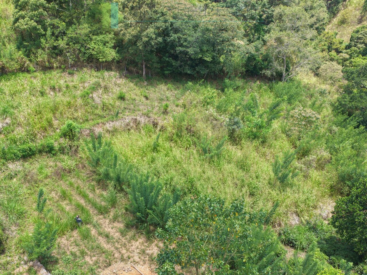 Ready-to-finish family home with small tea garden