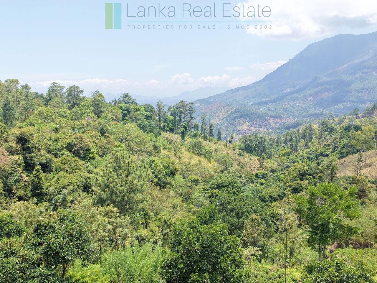 Ready-to-finish family home with small tea garden