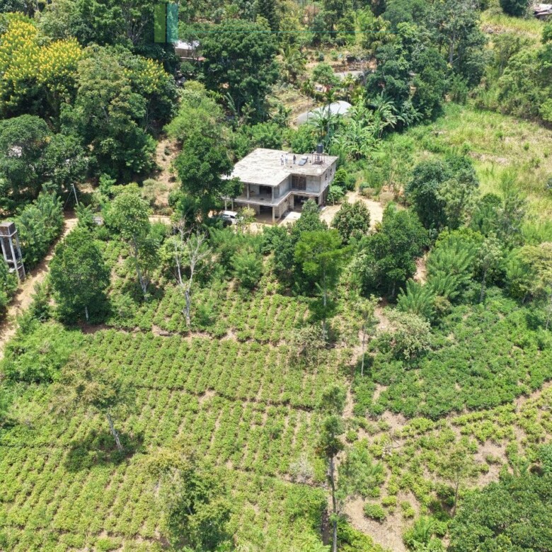 Ready-to-finish family home with small tea garden