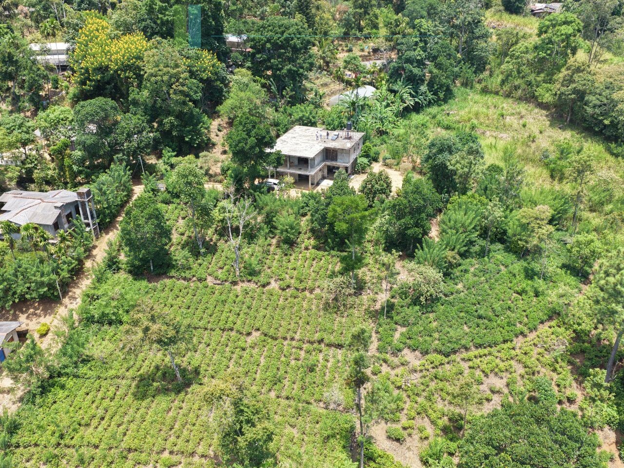 Ready-to-finish family home with small tea garden
