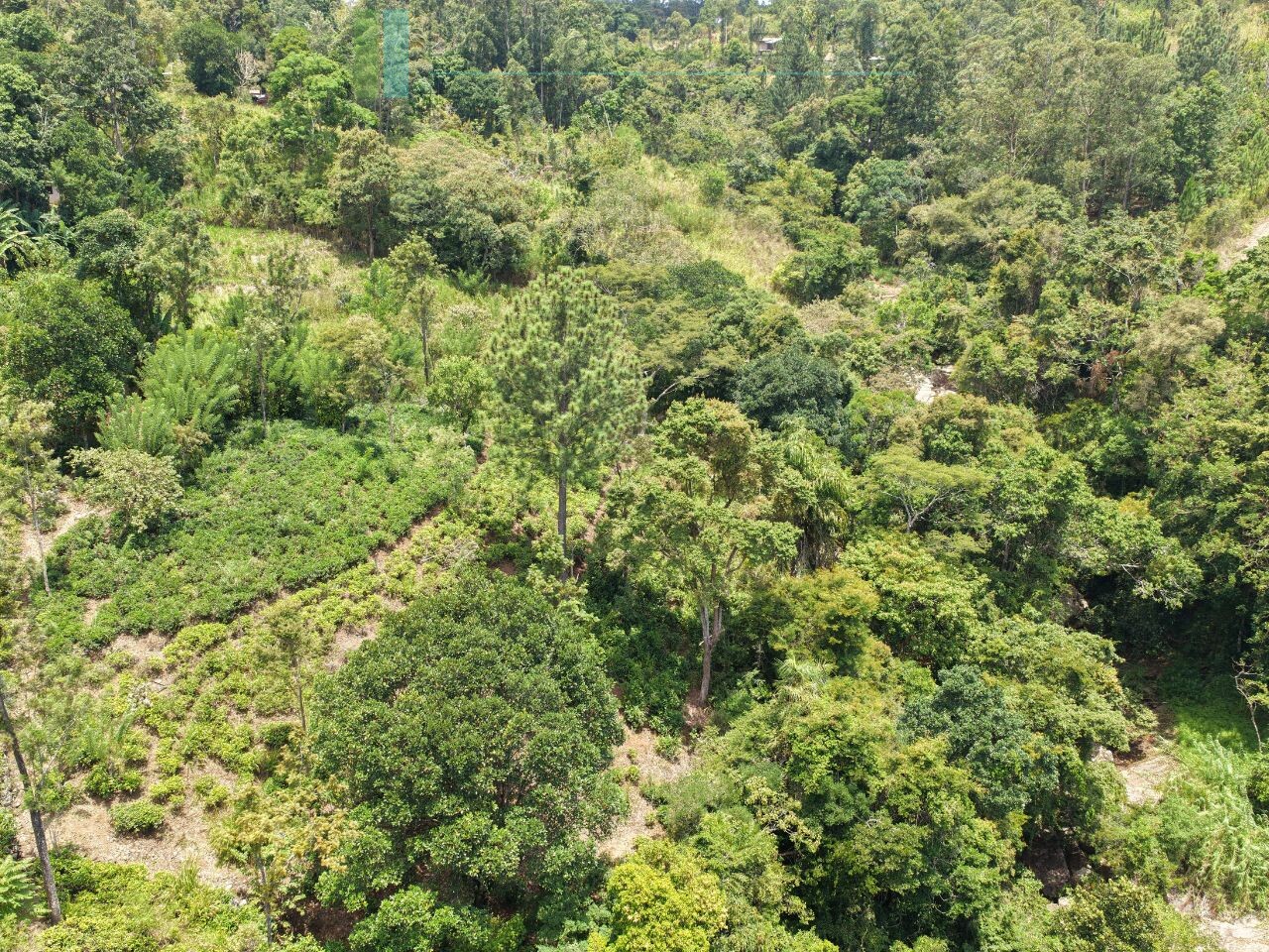 Ready-to-finish family home with small tea garden
